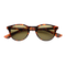 Atelier / Tortoise Acetate & Oak Lens